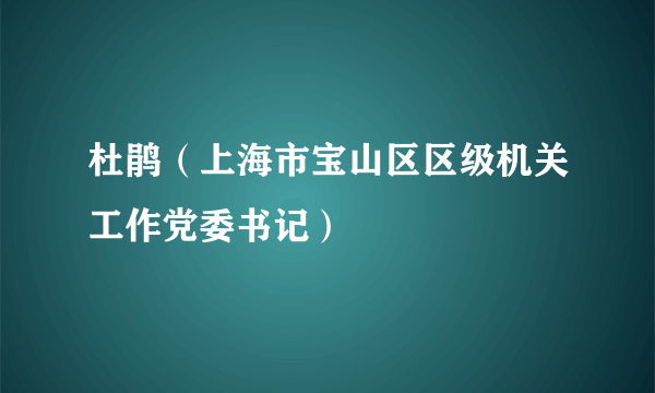 杜鹃（上海市宝山区区级机关工作党委书记）