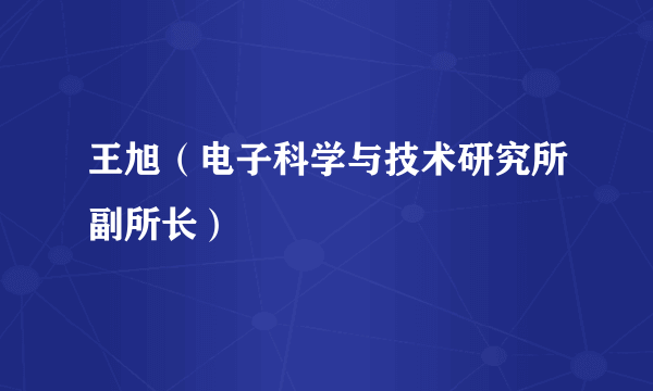 王旭（电子科学与技术研究所副所长）