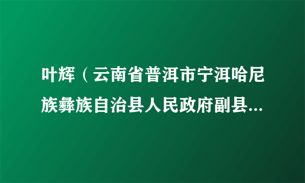 叶辉（云南省普洱市宁洱哈尼族彝族自治县人民政府副县长、公安局局长）