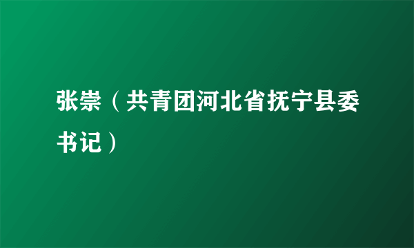 张崇（共青团河北省抚宁县委书记）