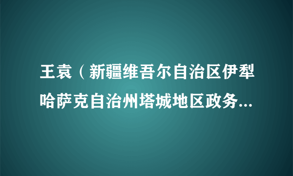 王袁（新疆维吾尔自治区伊犁哈萨克自治州塔城地区政务服务与公共资源交易中心党组成员、副主任）