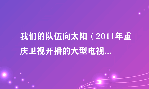 我们的队伍向太阳（2011年重庆卫视开播的大型电视专题片）