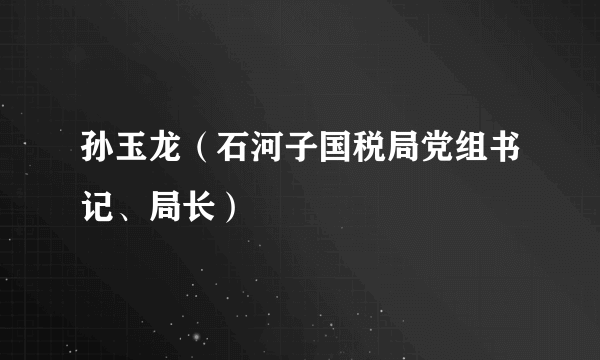 孙玉龙（石河子国税局党组书记、局长）