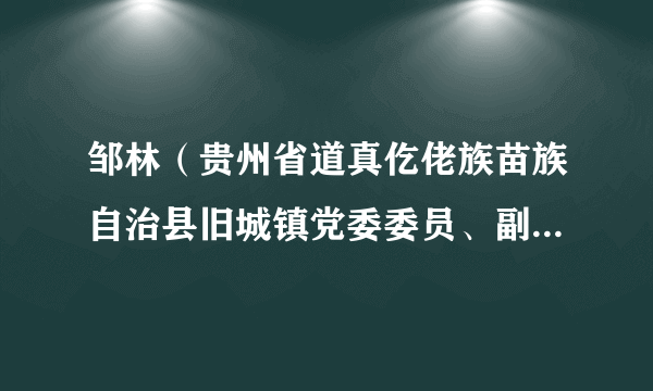 邹林（贵州省道真仡佬族苗族自治县旧城镇党委委员、副书记、镇长）