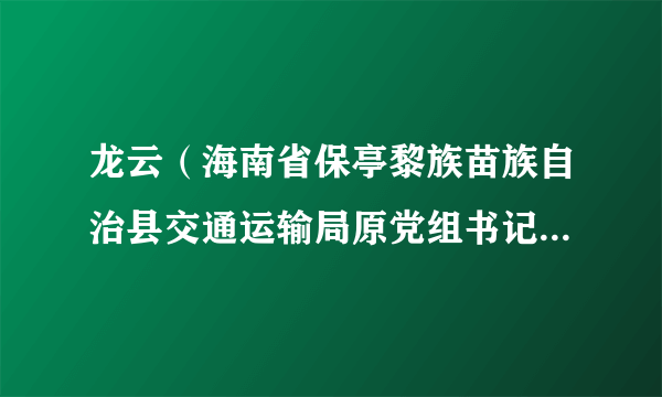 龙云（海南省保亭黎族苗族自治县交通运输局原党组书记、局长）