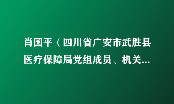 肖国平（四川省广安市武胜县医疗保障局党组成员、机关党委书记）