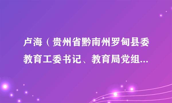 卢海（贵州省黔南州罗甸县委教育工委书记、教育局党组书记、局长、政协副主席）