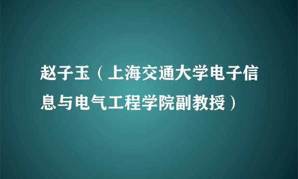 赵子玉（上海交通大学电子信息与电气工程学院副教授）