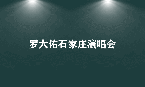 罗大佑石家庄演唱会