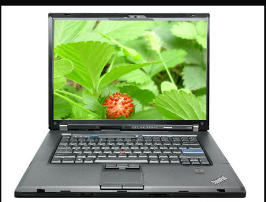 ThinkPad T500(2082CT2)