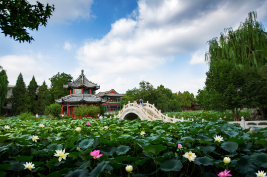 古莲花池（保定市第五批全国重点文物保护单位）