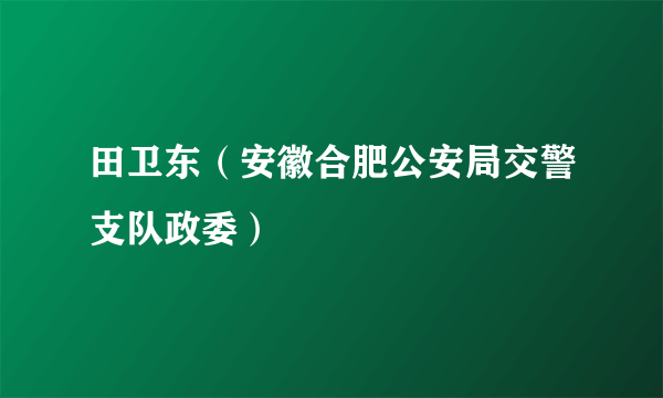 田卫东（安徽合肥公安局交警支队政委）