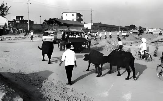 深南大道（2015年中国拍摄电影）