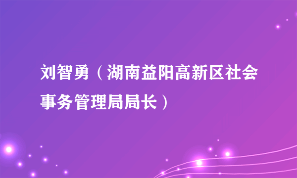 刘智勇（湖南益阳高新区社会事务管理局局长）