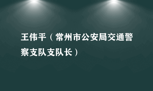 王伟平（常州市公安局交通警察支队支队长）