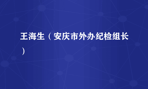 王海生（安庆市外办纪检组长）