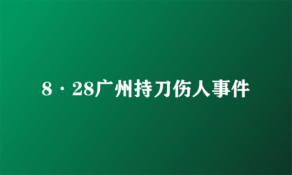 8·28广州持刀伤人事件