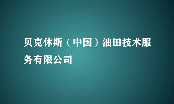 贝克休斯（中国）油田技术服务有限公司