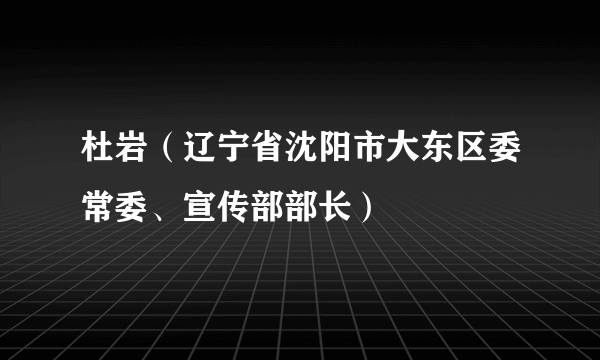 杜岩（辽宁省沈阳市大东区委常委、宣传部部长）