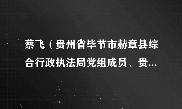 蔡飞（贵州省毕节市赫章县综合行政执法局党组成员、贵州省赫章县综合行政执法大队大队长）