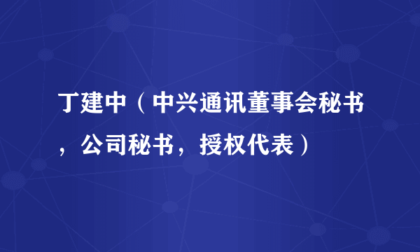 丁建中（中兴通讯董事会秘书，公司秘书，授权代表）