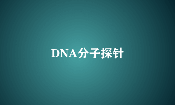 DNA分子探针