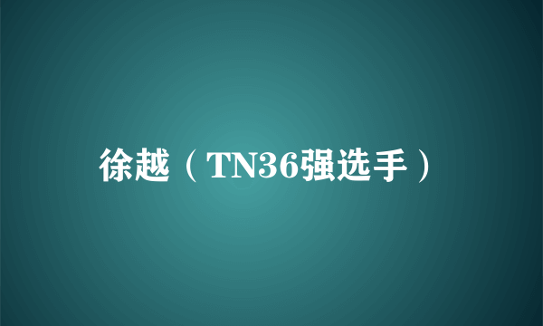 徐越（TN36强选手）