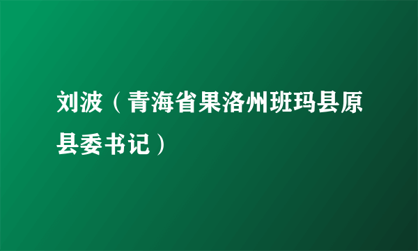 刘波（青海省果洛州班玛县原县委书记）