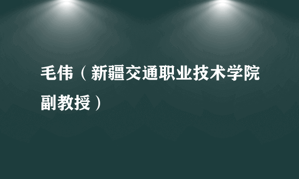 毛伟（新疆交通职业技术学院副教授）