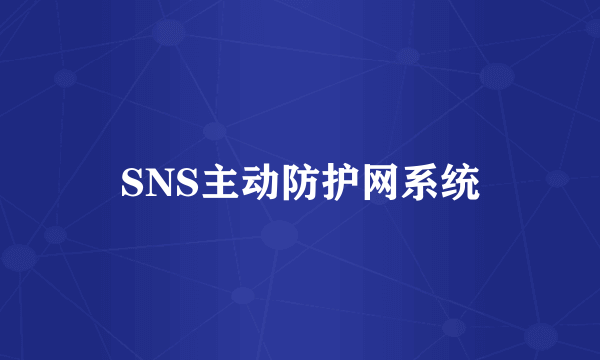 SNS主动防护网系统