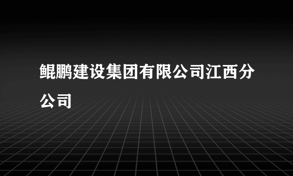 鲲鹏建设集团有限公司江西分公司