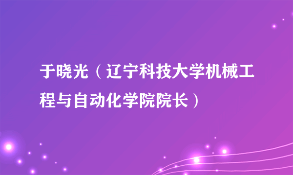 于晓光（辽宁科技大学机械工程与自动化学院院长）