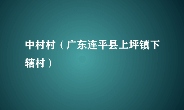 中村村（广东连平县上坪镇下辖村）