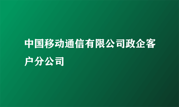 中国移动通信有限公司政企客户分公司