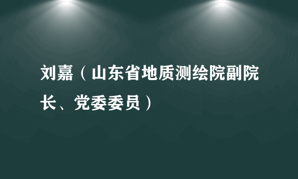 刘嘉（山东省地质测绘院副院长、党委委员）