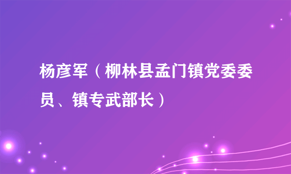 杨彦军（柳林县孟门镇党委委员、镇专武部长）