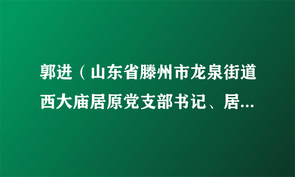 郭进（山东省滕州市龙泉街道西大庙居原党支部书记、居民委员会主任）