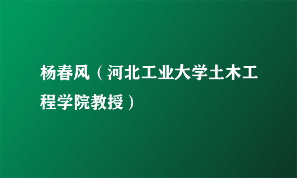 杨春风（河北工业大学土木工程学院教授）