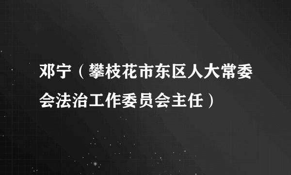 邓宁（攀枝花市东区人大常委会法治工作委员会主任）