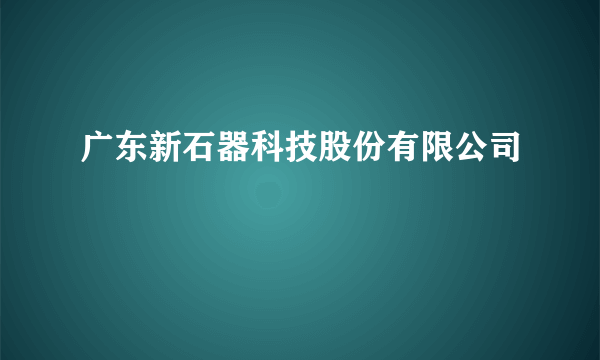 广东新石器科技股份有限公司