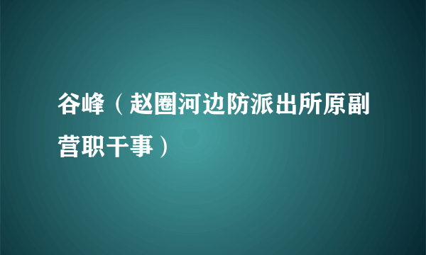 谷峰（赵圈河边防派出所原副营职干事）