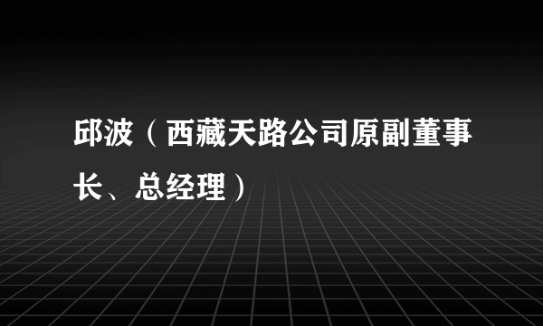 邱波（西藏天路公司原副董事长、总经理）