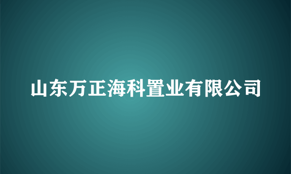 山东万正海科置业有限公司