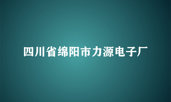 四川省绵阳市力源电子厂