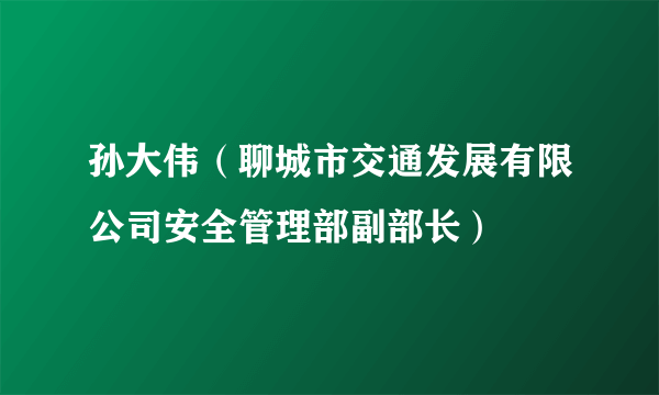 孙大伟（聊城市交通发展有限公司安全管理部副部长）