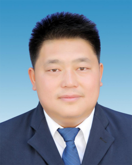 杨根（云南省保山市腾冲市团田乡党委书记）