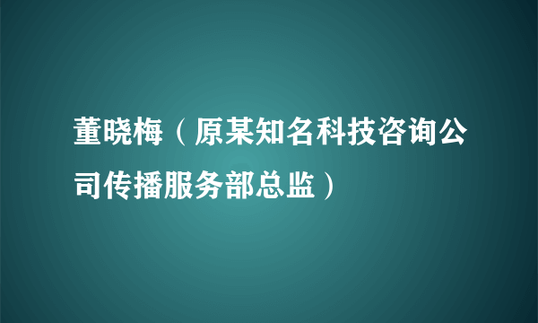 董晓梅（原某知名科技咨询公司传播服务部总监）