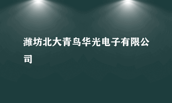 潍坊北大青鸟华光电子有限公司