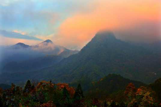 云雾山（陕西省汉中市勉县境内的景点）