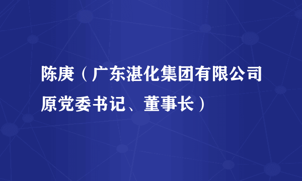 陈庚（广东湛化集团有限公司原党委书记、董事长）